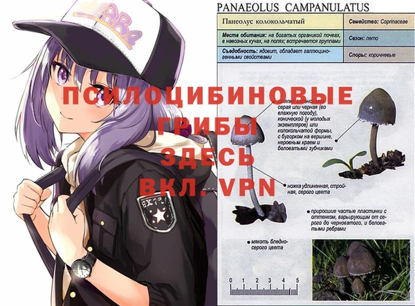кристаллы Белокуриха