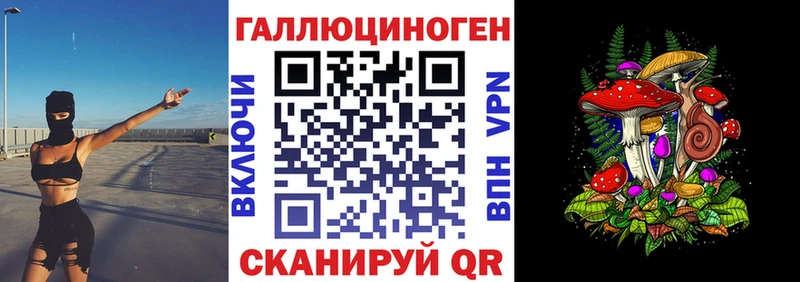 Псилоцибиновые грибы Cubensis  Судогда 